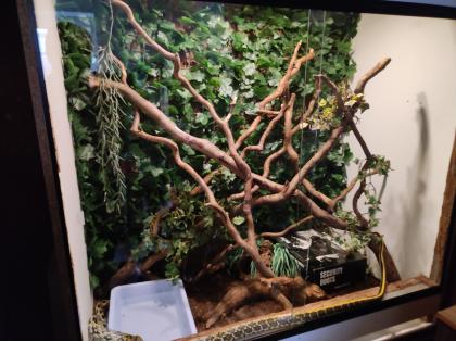 Holzterrarium zu Verkaufen