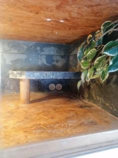 XXL TERRARIUM Wand - super Königspython Terrarien