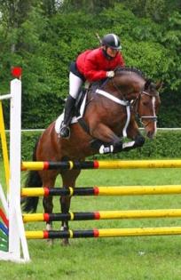 Beritt u. Ausbildung von Pferden Pony s
