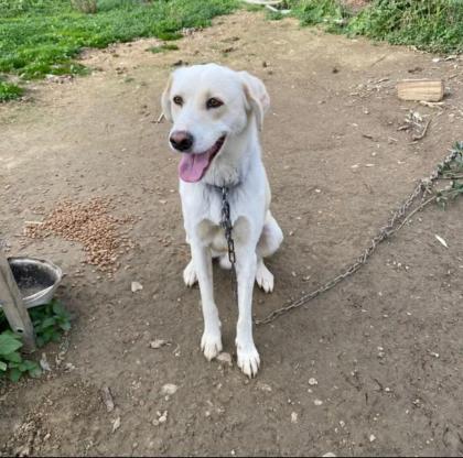Max Rüde 1, 5 Jahre alt