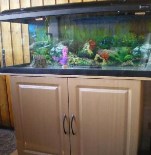 Aquarium komplettset 160l