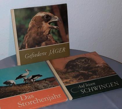 Tierbücher Kinderbücher Storch Eule Greifvögel Natur Storchenjahr