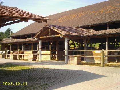 Freie Boxen-Paddocks-Weide