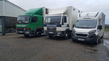Pferdetransport. Pierkes fragen
