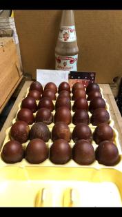 Bruteier marans schwarz Kupfer