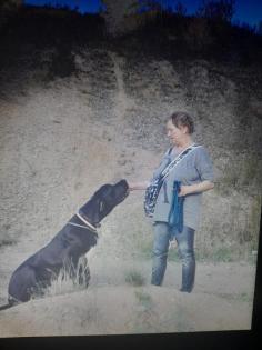 Deutsche dogge