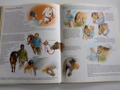 Mein erstes Buch vom Reiten Pferdebuch Buch Pferd Tierbuch