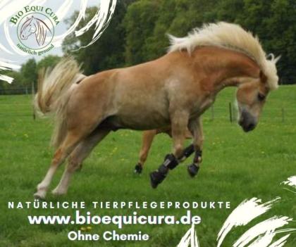 Natürliche Hufpflege für Pferde-Lorbeer Seife-Bio-Pferd