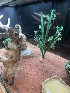 Terrarium inkl. Zubehör ideal für Reptilien, abzugeben