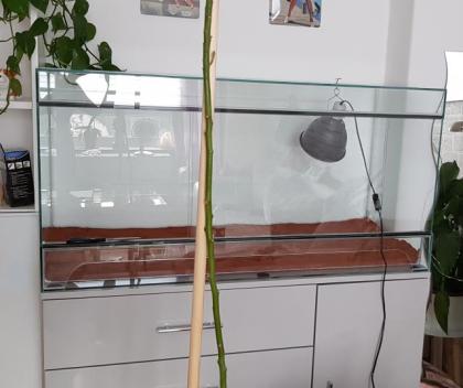 Glasterrarium 120 x 50 x 60 BxTxH
