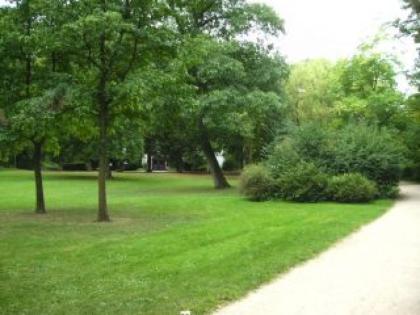 Betreue Ihre n Hund e VS
