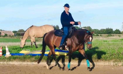 Zauberhafte Quarter Horse Stute sucht.