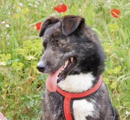 Thunder - hat mit Donner wenig zu tun
