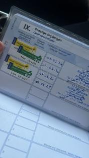 Reinrassiger, sanfter Pomerenien sucht neues zu Hause,