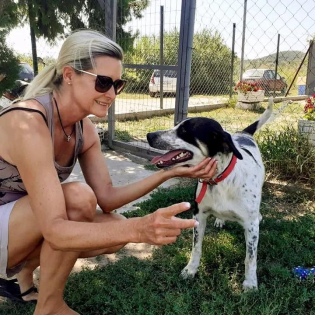 Pongo sucht dringend Pflegestelle oder Endstelle