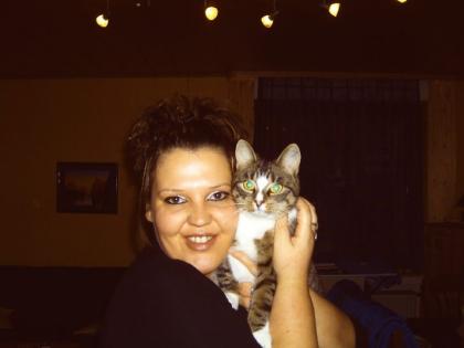 Melanie s mobile Katzenbetreuung