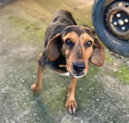 Rani sucht Vertrauen in ihrem Zuhause