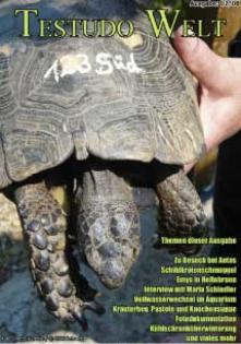 Schildkröten Online-Magazin KOSTENLOS