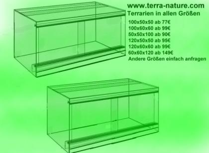 Terrarium 120x60x60 super Günstig Glas 109Euro