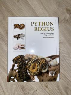 Hobbyaufgabe Königspython