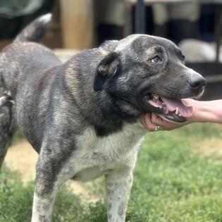 Elias / Status sucht ein Zuhause