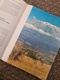 Das große Reader s Digest Tierbuch 1965 Bildband