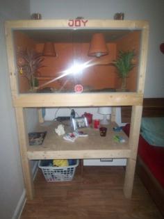 Bartagame mit Trrarium und Gestell