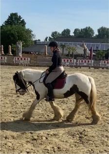 Reitbeteiligung/Beritt/Urlaubsvertretung