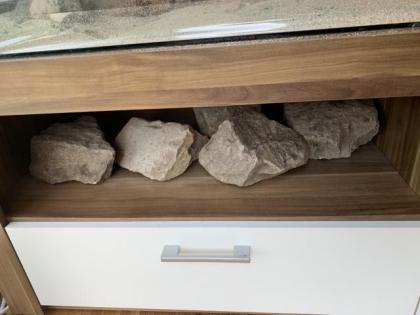 2 Bartagamen männl. und weibl. Terrarium Zubehör Deko VB