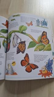 Kinderbücher über Tiere Tierbücher