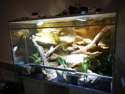 Terrarium 150x70x90 inkl. Schrank, Rückwand Beleuchtung