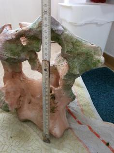 Fur beide 30 euro