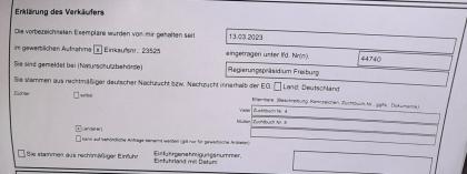 Östliche Sandboa Eryx Miliaris männlich NZ22