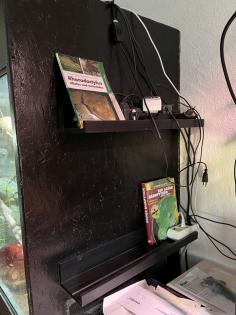 Terrarium und Kronengecko mit komplettem Zubehör