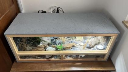 Leopardgecko Terrarium Zubehör