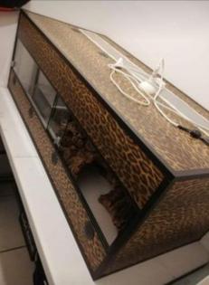 Kunststoffterrarium in Leo-Print - zu verkaufen