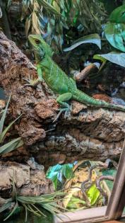 Wasseragame zu verkaufen. 50 Euro
