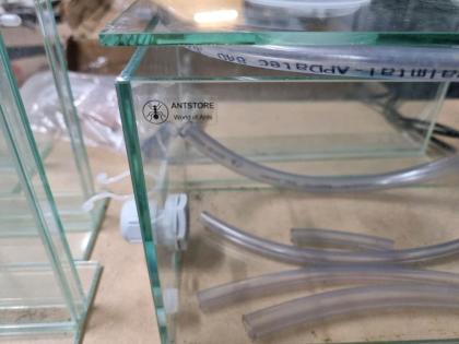 Ameisenfarm Ameisen Antstore Formicarium