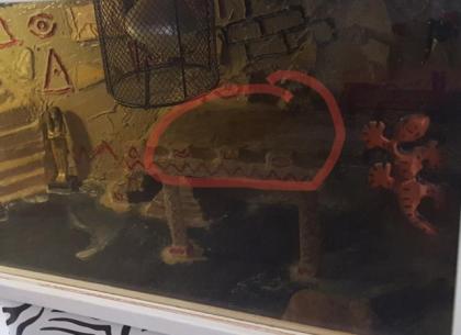 Terrarium für Reptilien in Ägypten Style