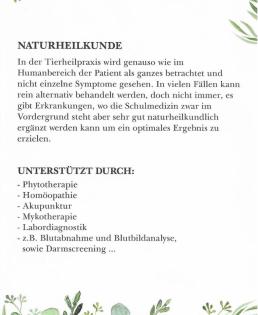 Tierphysiotherapie und Naturheilkunde Hund Katze Pferd