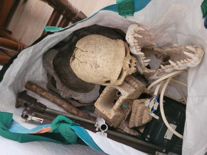 Königspyton inkl Terrarium und Zubehör