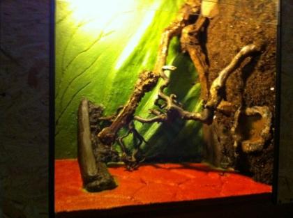 Verkaufe Schlangen Terrarium