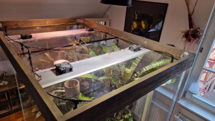 2 zu einem zusammengefügtes Terrarium Baujahr 2018 umständehalber zu verkaufen