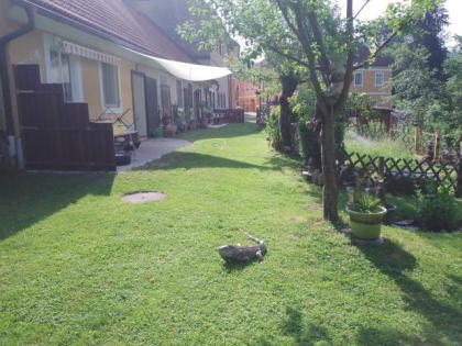 Reptilien-kleinanzeigen. net