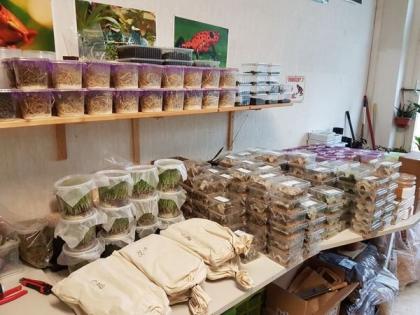 Heimchen 1, 70 Euro, Drosophila 2, 50 Euro, Springschwänze 2, 50 Euro in Erfurt