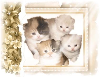 Unseren babys wurden an ostern geboren