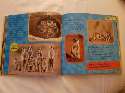 Tierbuch - Mein großes Buch der Tiere