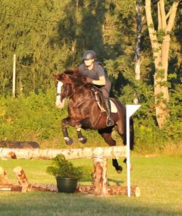 Blickfang Bucht Hannoveraner