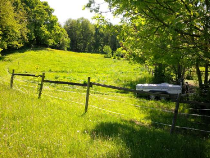 Weide / Koppel mit Wasser für Pferde bei Wachtberg-Berkum