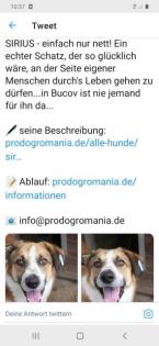 Wem dürfen wir treu zur Seite stehen